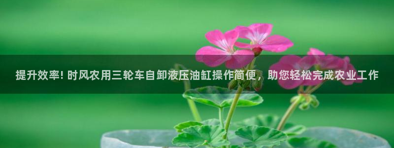 必威官网首页中文在线